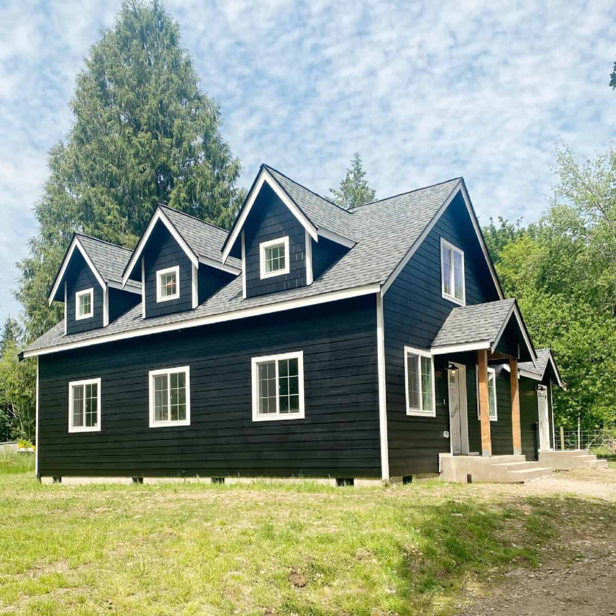 The Best Ideas For Black Houses – Darkness Is In Style – DecoFond