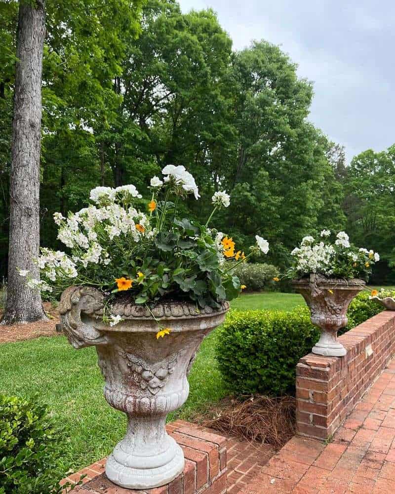 Container Gardening