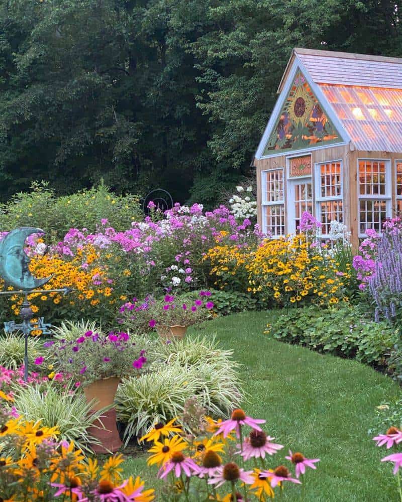 Cottage Wildflower Patch