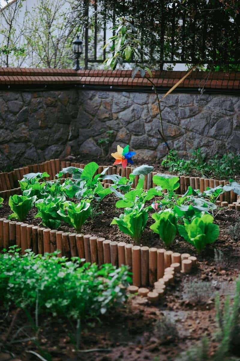 Edible Landscaping