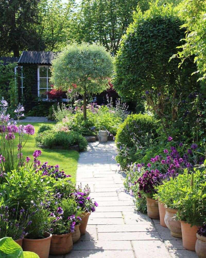 Perennial Borders