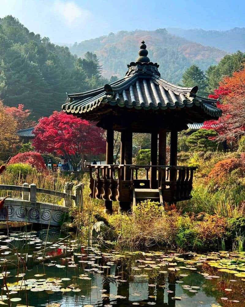 The Zen Bamboo Pavilion