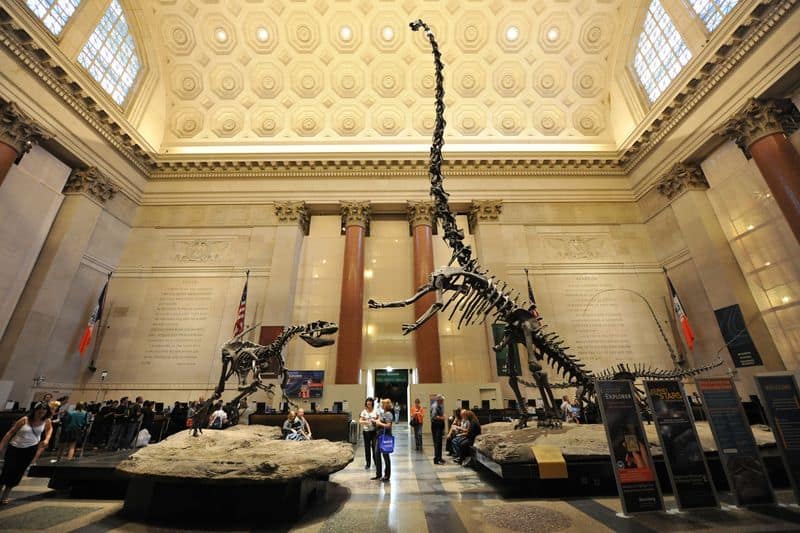 American Museum of Natural History