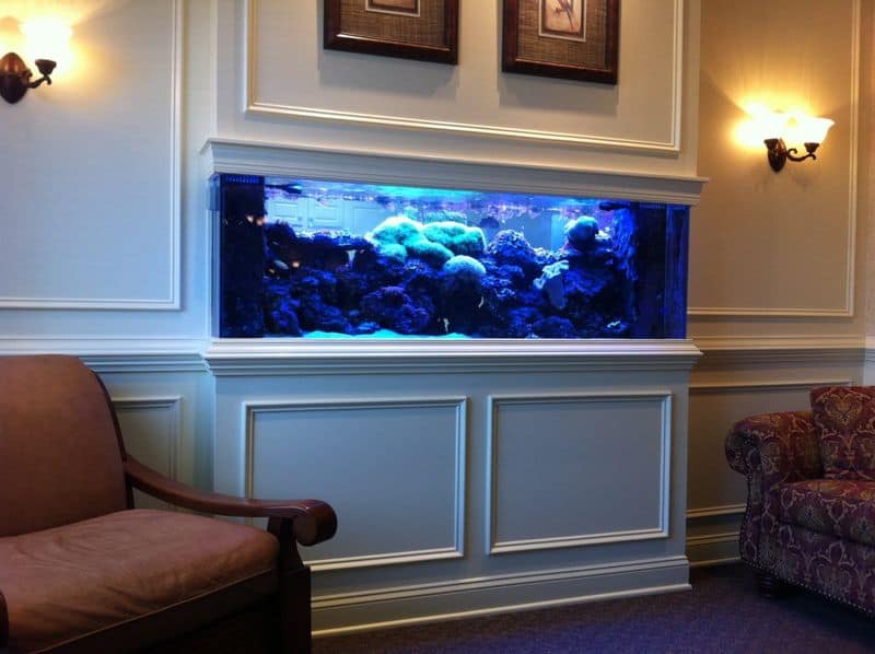 Built-In Fish Tank Walls