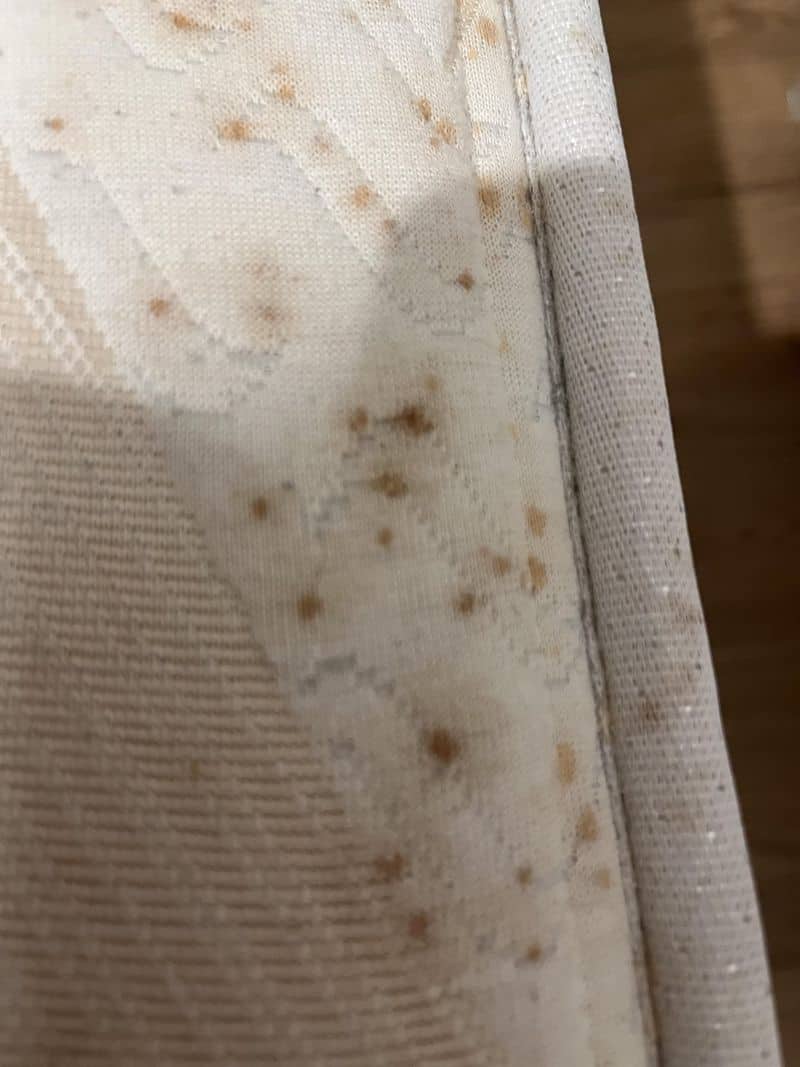 Dark stains or bite marks in upholstery