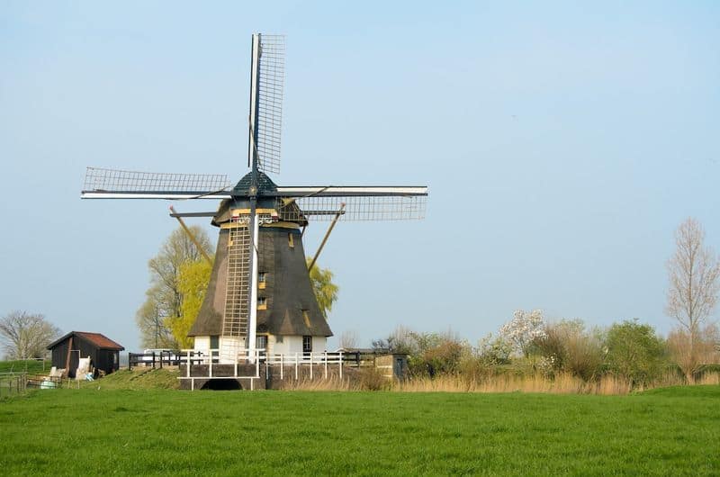 Dutch Windmill Homestead