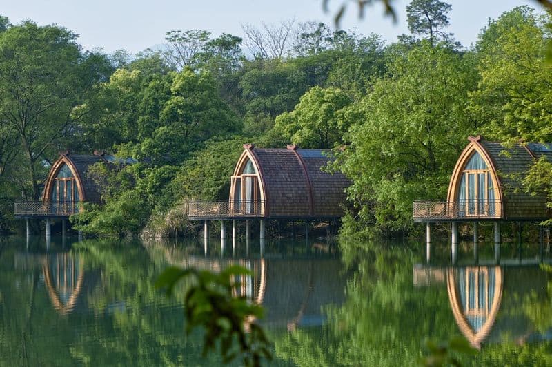 Floating Forest Retreat