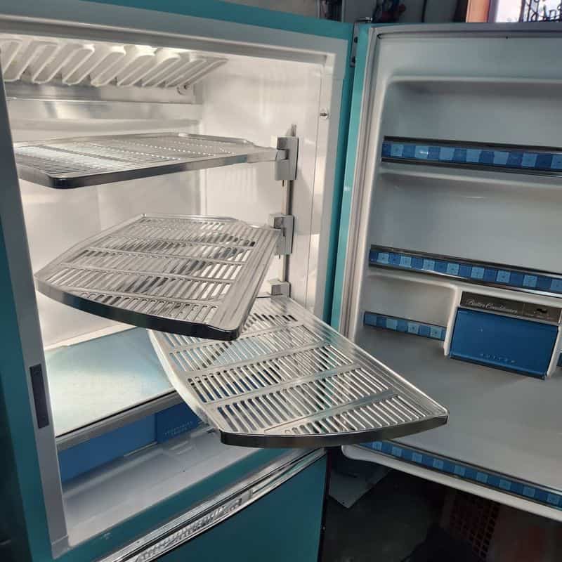 Fridges with Swing Out Shelves