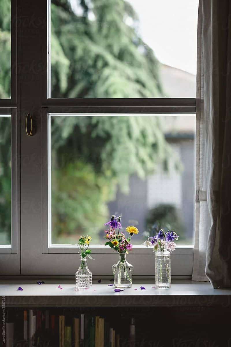 Glassware on a windowsill