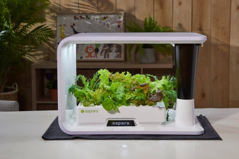 Indoor Herb Garden Kit