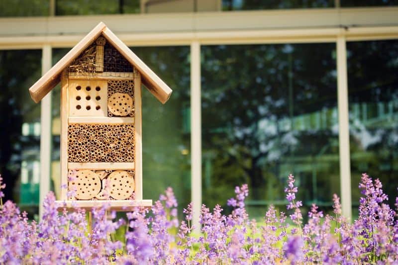 Install Bee Hotels