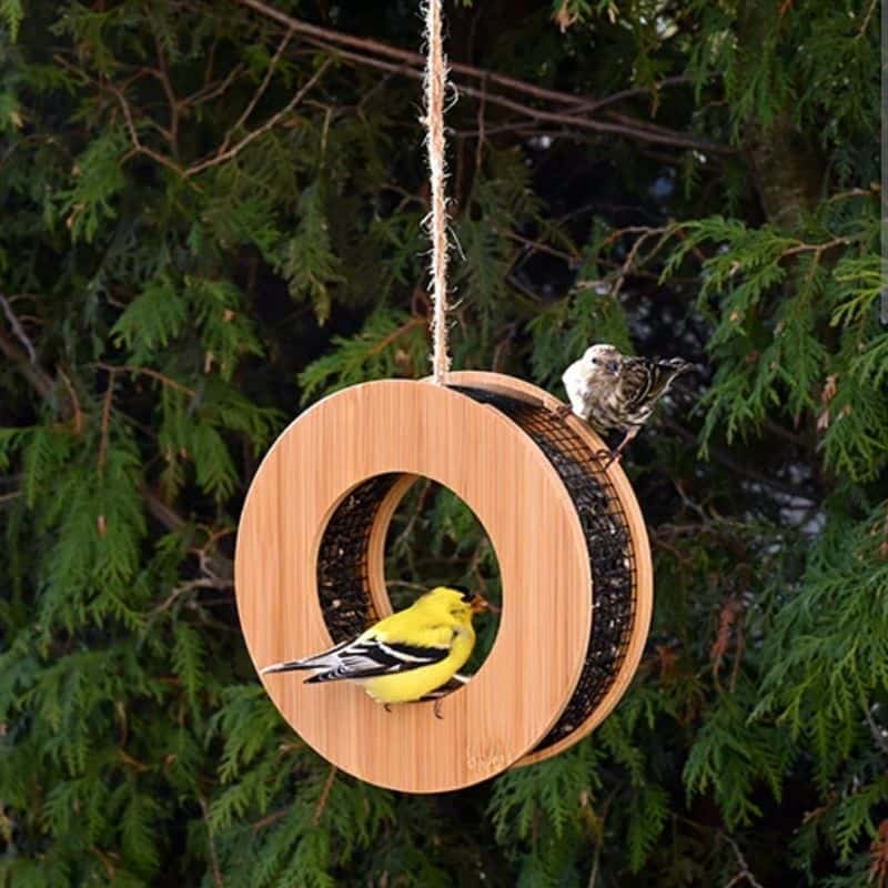 Install Bird Feeders