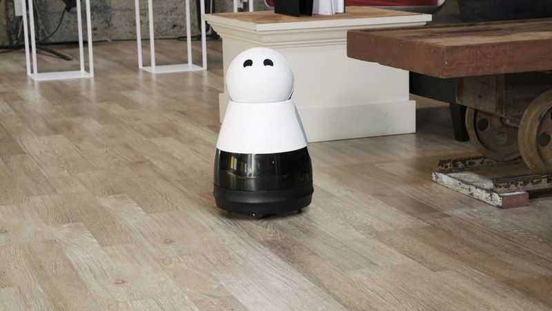 Kuri Mobile Robot