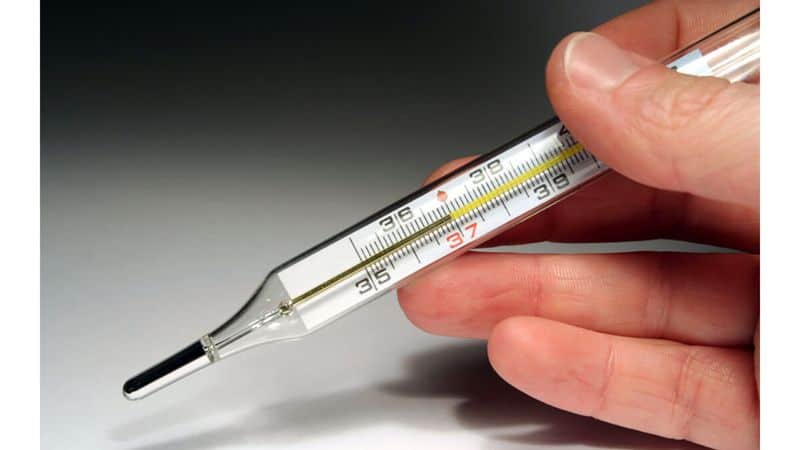 Mercury Thermometers: The Original Stress Test