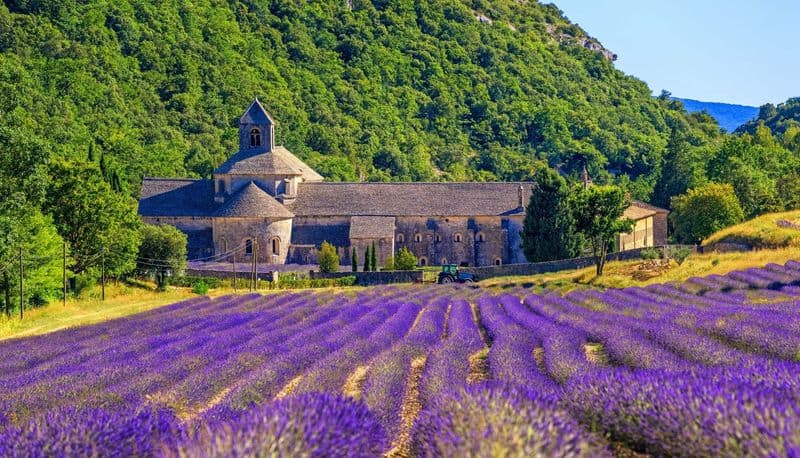 Provence's Lavender Retreat