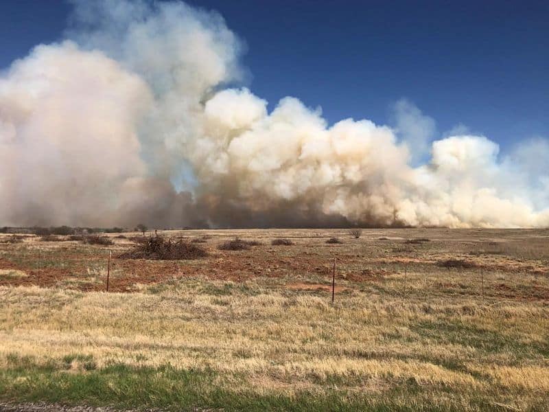 Remove Any Dry Vegetation (Say Goodbye to Nature’s Fireworks)