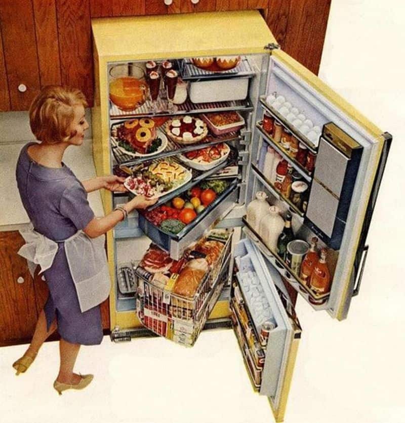 Retro Fridges with Roll-Out Shelves