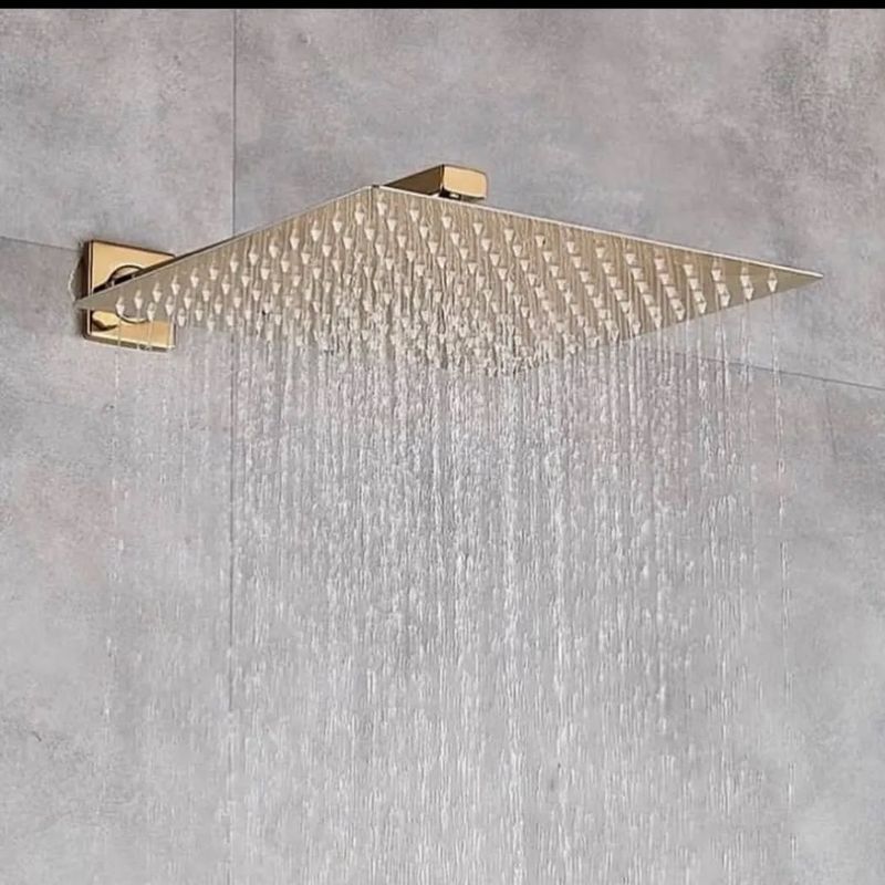 Sleek Rainfall Shower Isn't Cleaner Friendly