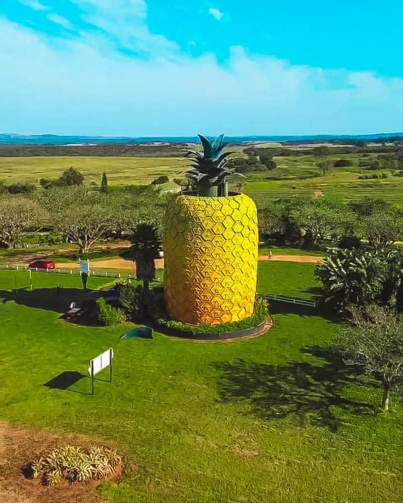 SpongeBob's Pineapple