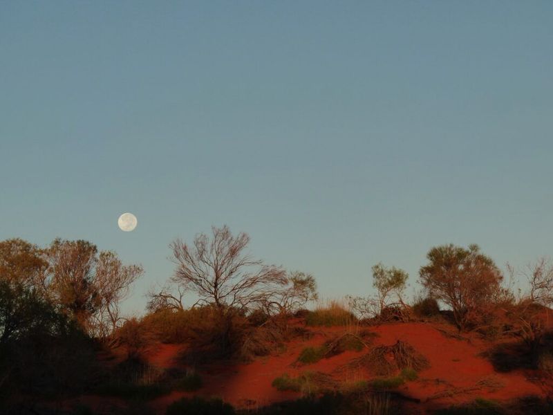 The Outback in Australia