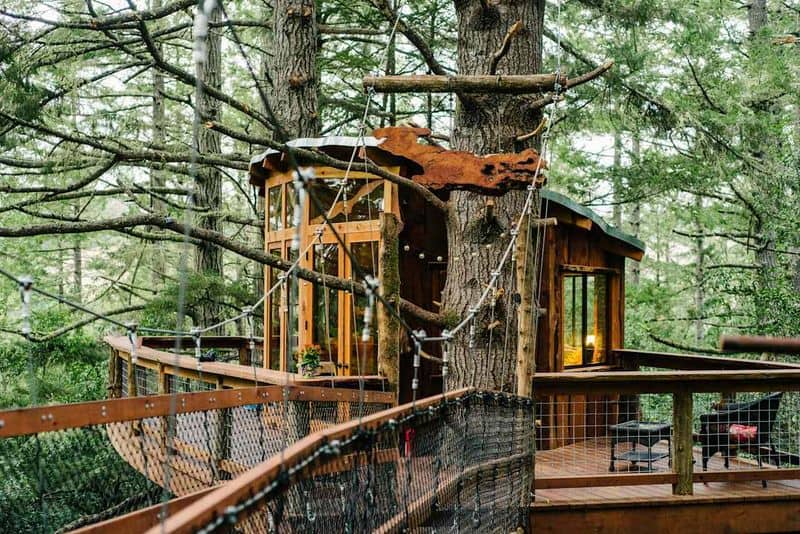 Treehouse Cabin in the Redwoods