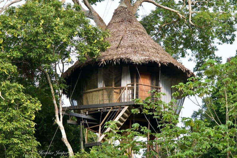 Treehouse Lodge, Amazon Rainforest