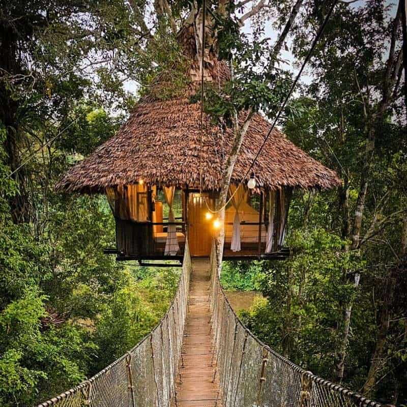 Treehouse Lodge, Iquitos, Peru