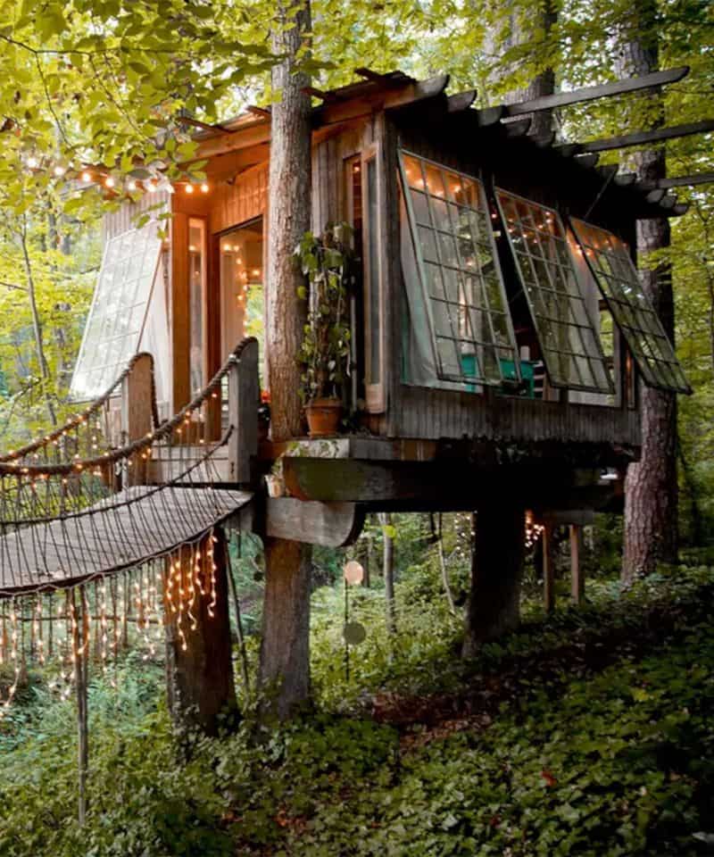 Treehouse Tranquility