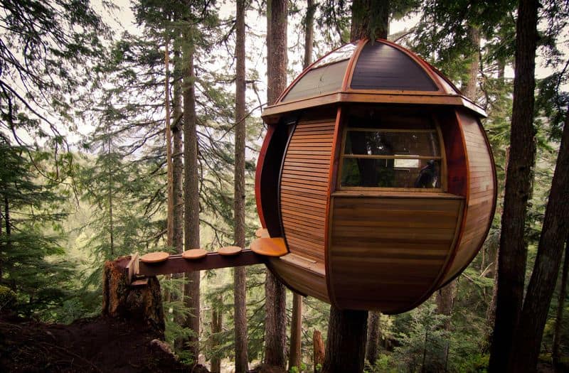 Treehouse in Whistler, Canada