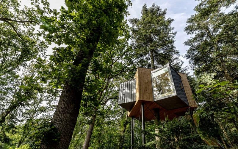 Treetop Hideaway