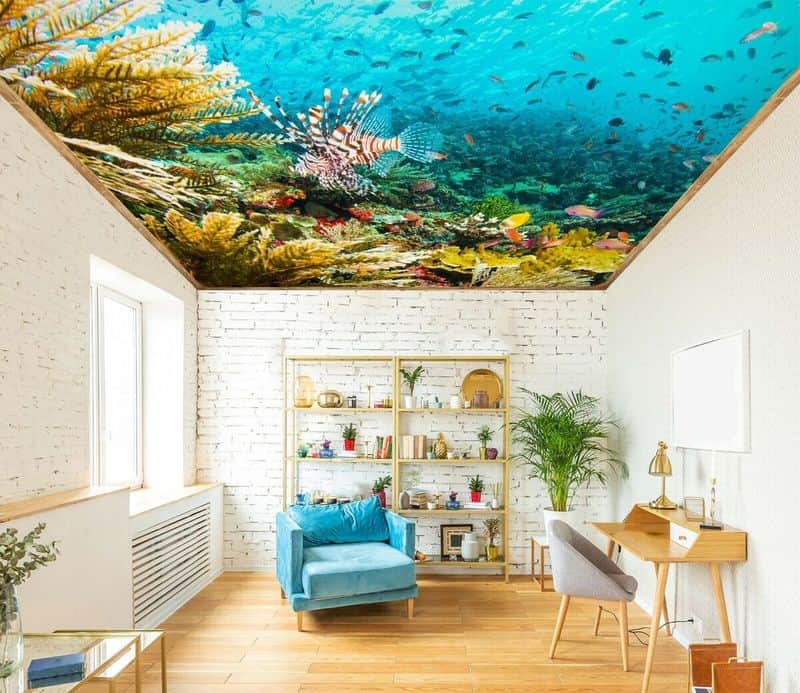 Underwater Ceiling Mural