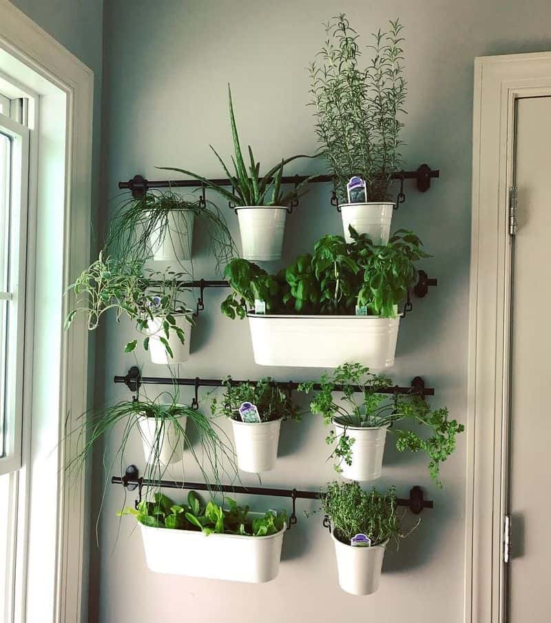 Vertical Herb Garden