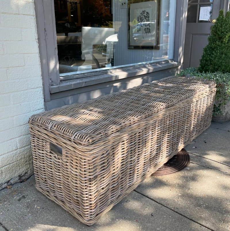 Wicker Deck Box with Cushion