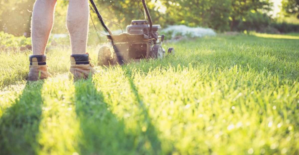 10 Landscaping Mistakes That Will Have Your Lawn Plotting Revenge