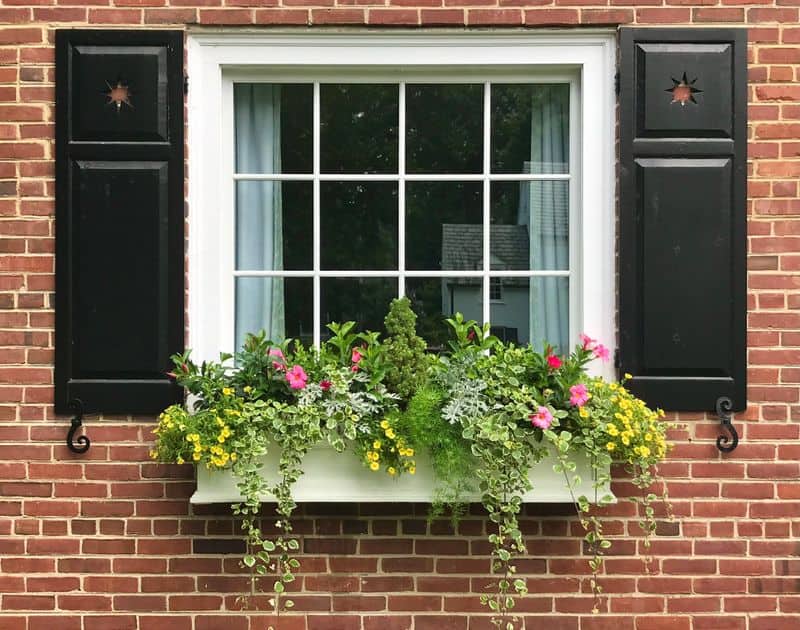 Add Window Boxes