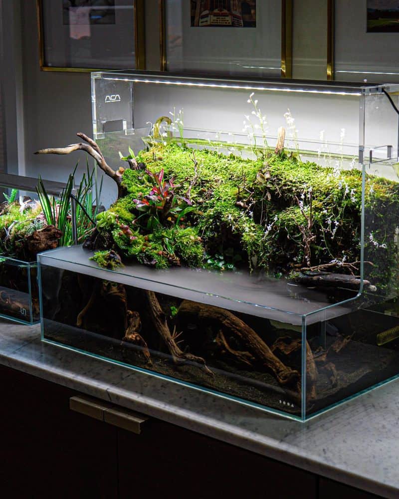 Aquatic Plant Aquarium