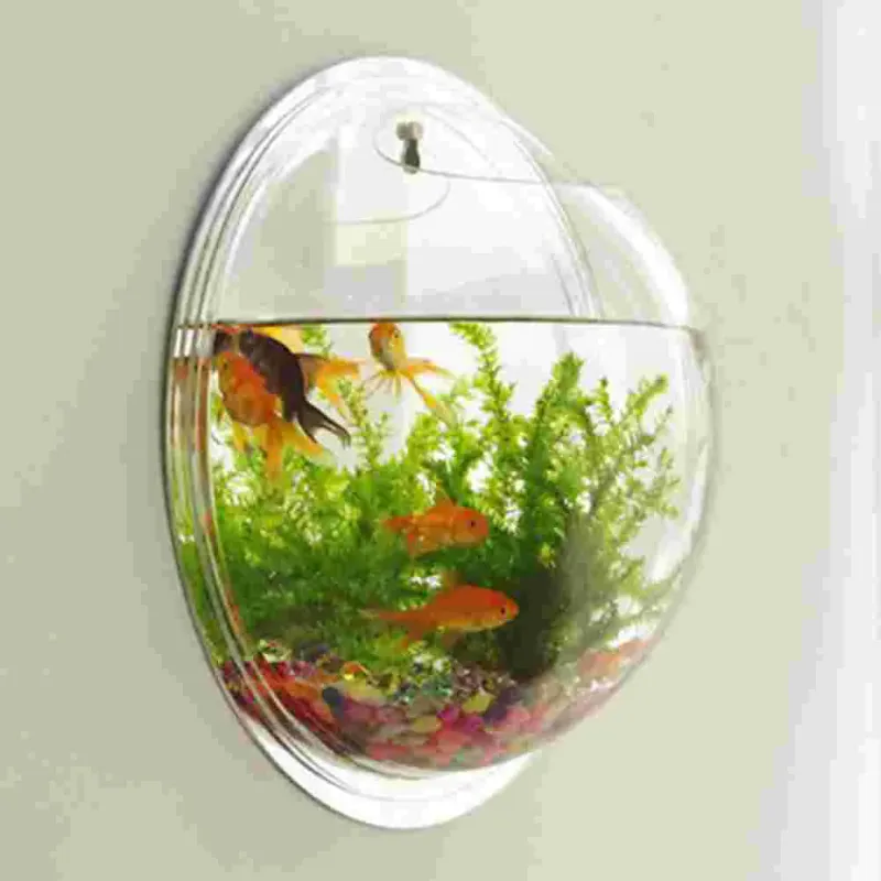 Artistic Wall-Mounted Fish Tank