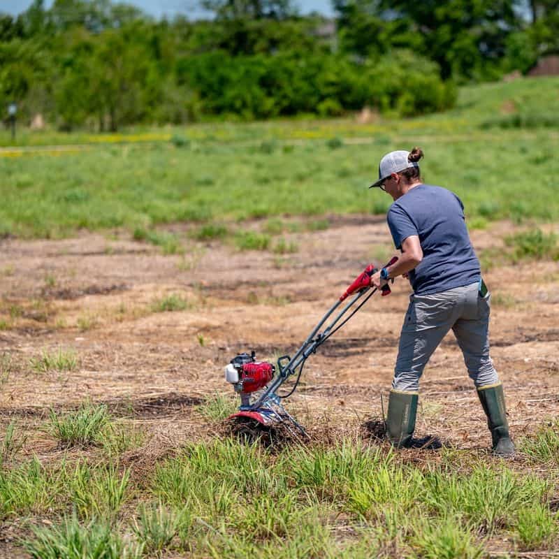 Avoid Tilling Excessively