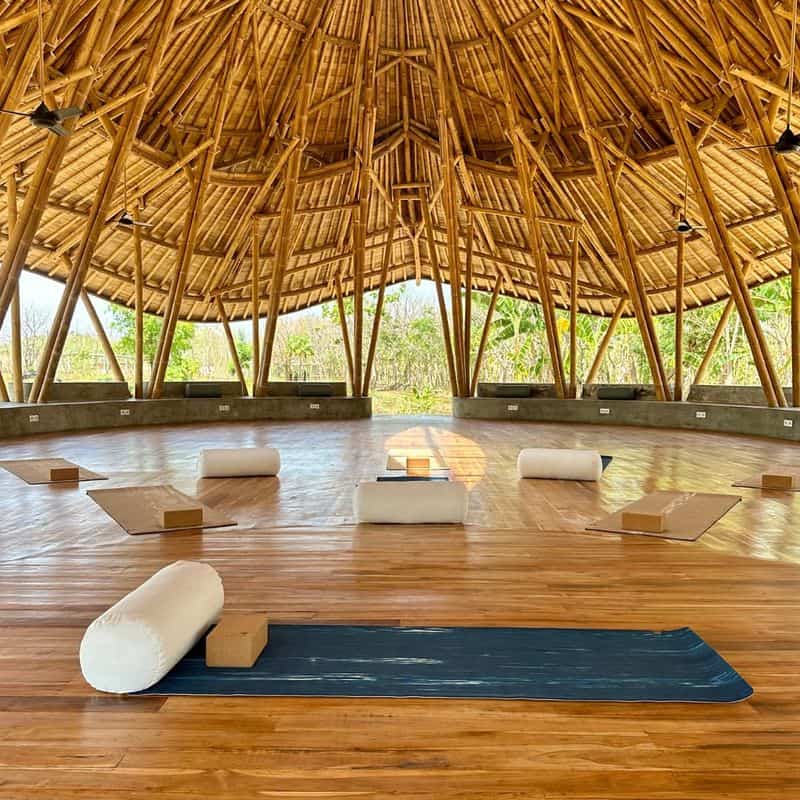 Bamboo Flooring