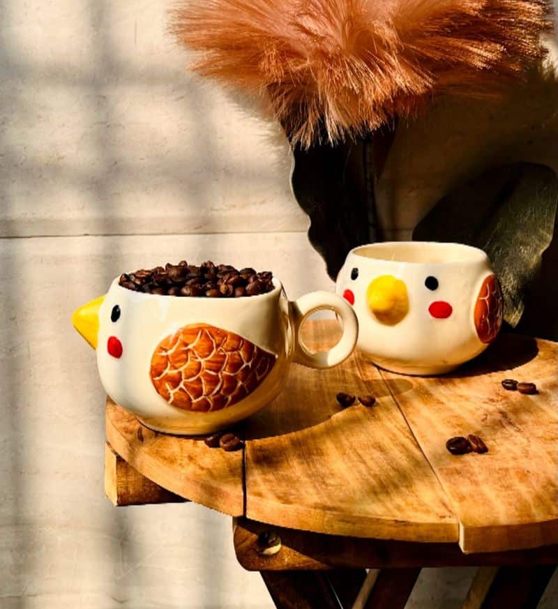 Bird Feeders