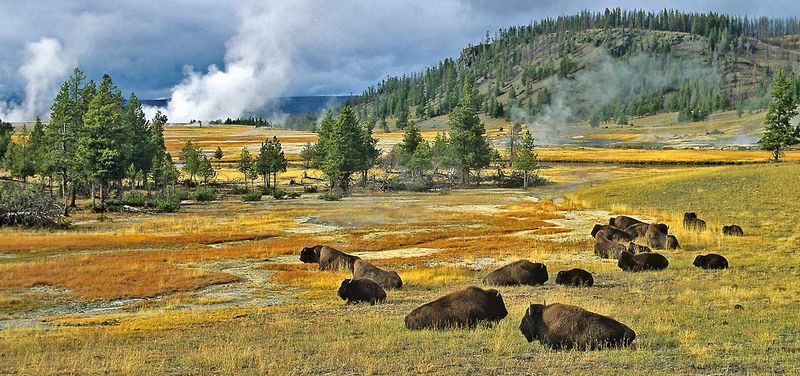 Yellowstone National Park, Wyoming