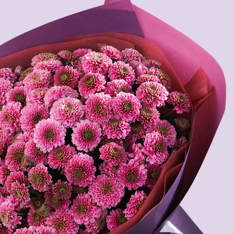 Chrysanthemum