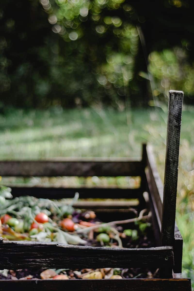 Compost Regularly