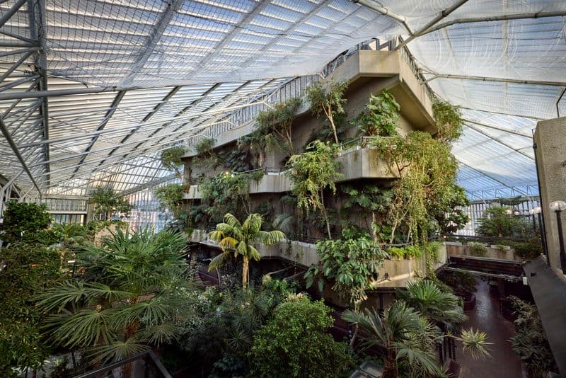 Lush Gardens