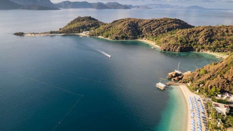 D Maris Bay