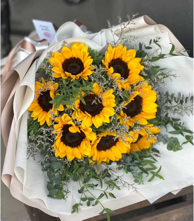 Sunflower