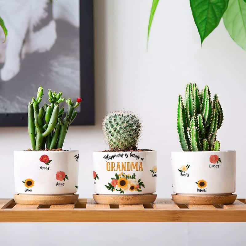 Decorative Plant Pots