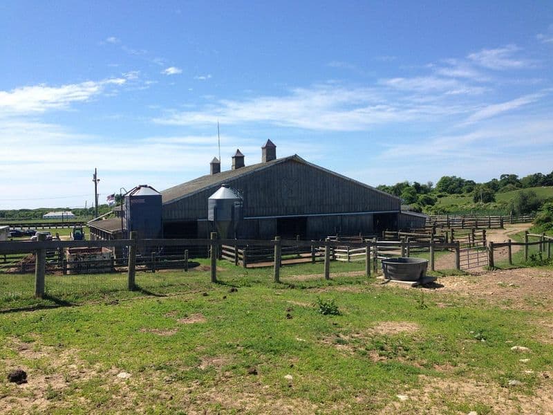 Deep Hollow Ranch, New York