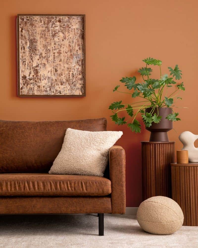 Earthy Terracotta