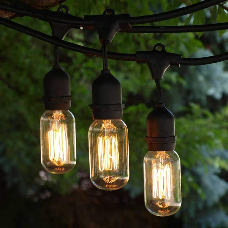 Edison Bulbs